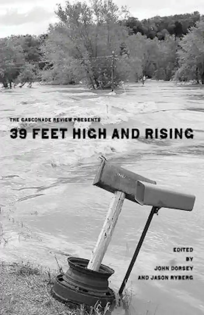 39 Feet High and Rising cover