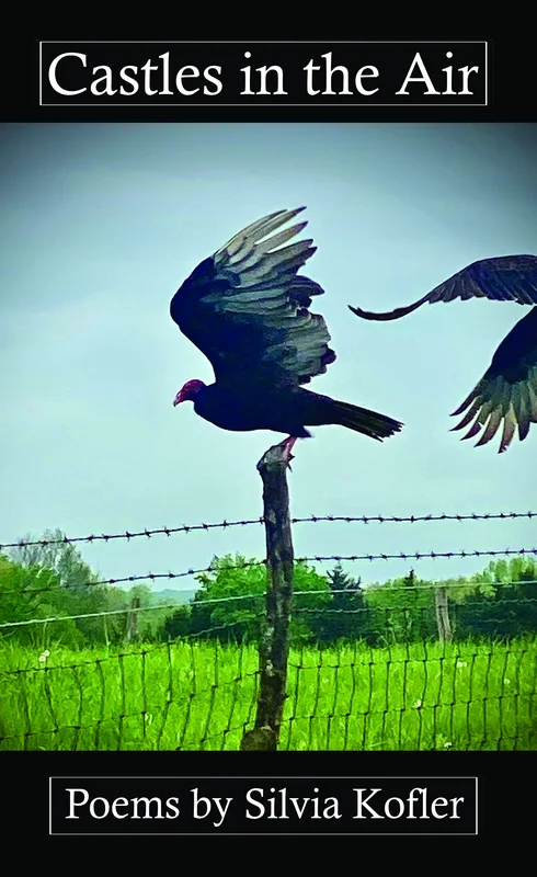 Castles in the Air cover