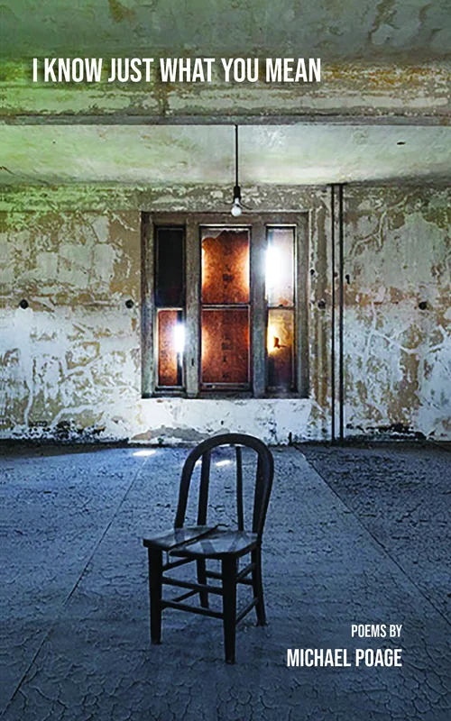 I Know Just What You Mean cover