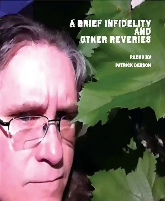 A Brief Infidelity and Other Reveries cover