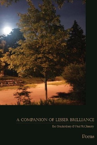 A Companion of Lesser Brilliance cover