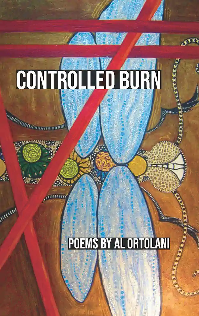 Controlled Burn cover