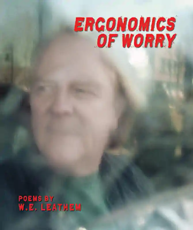 Ergonomics of Worry cover