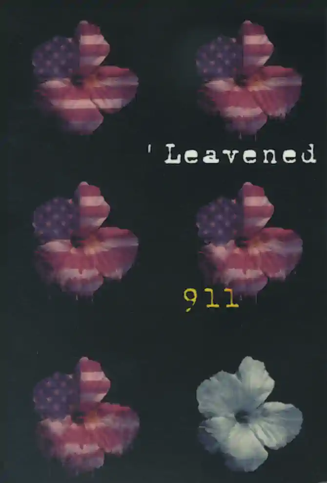 Leavened 911 cover