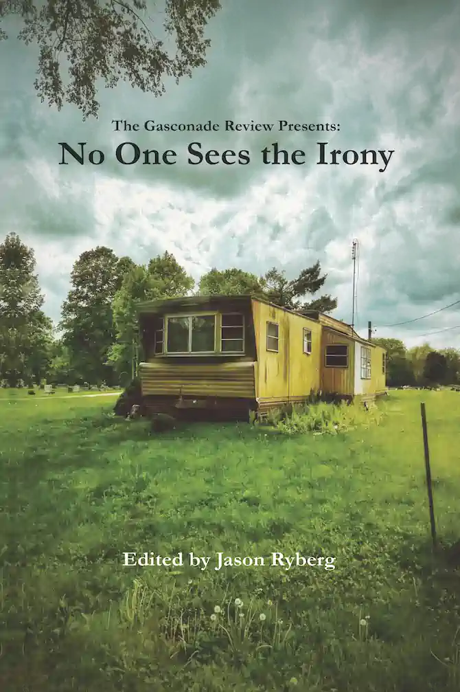 No One Sees the Irony cover