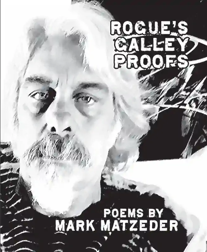 Rogue's Galley Proofs cover