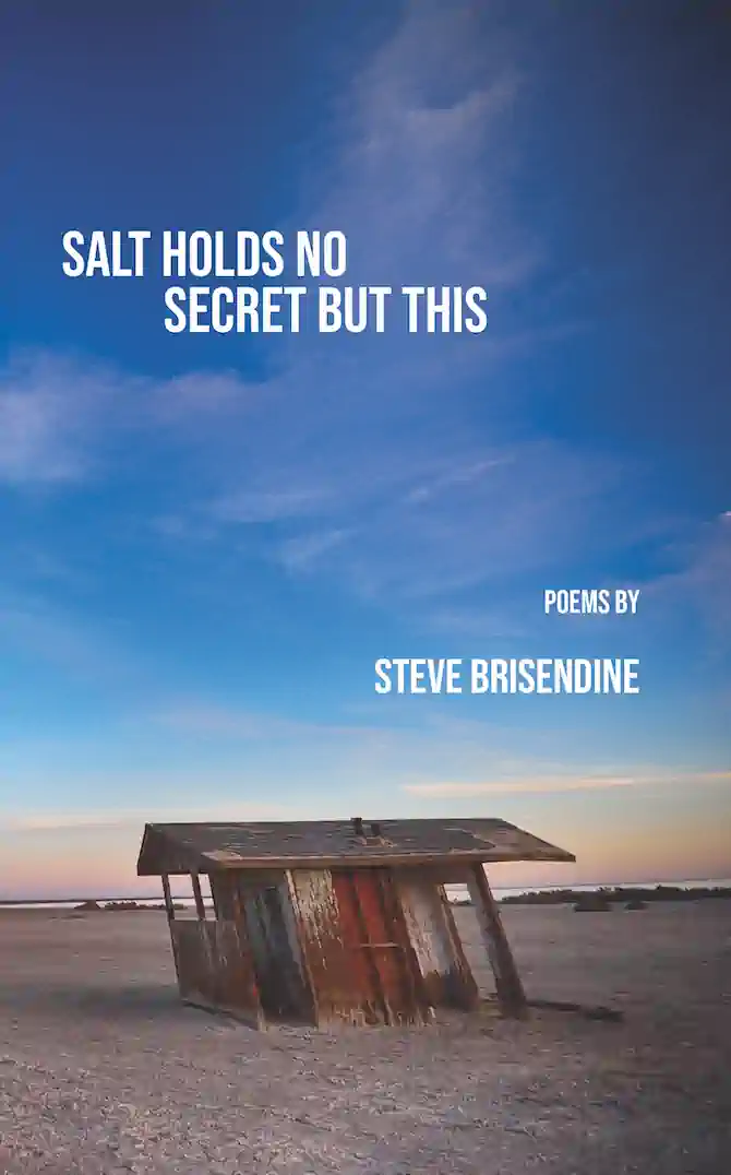 Salt Holds No Secret But This cover