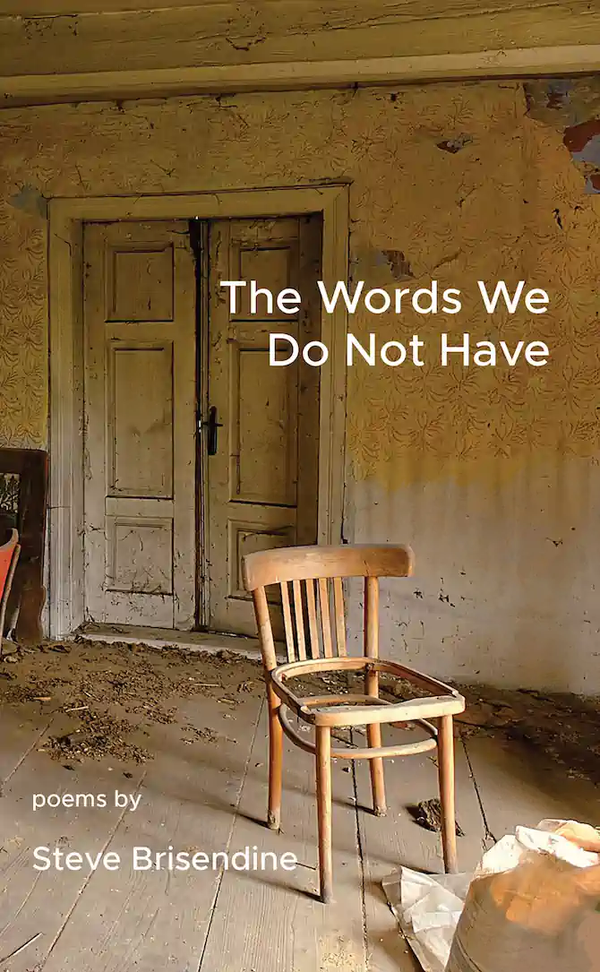 The Words We Do Not Have