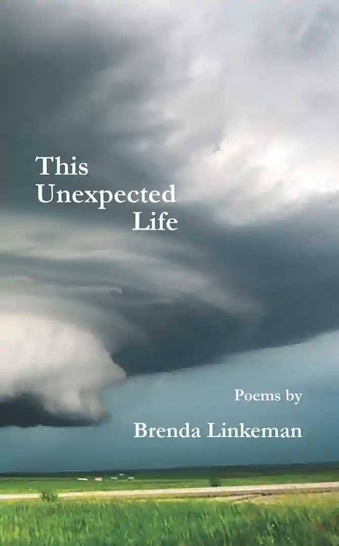 This Unexpected Life cover